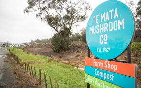 Te Mata Mushroom Company in Havelock North