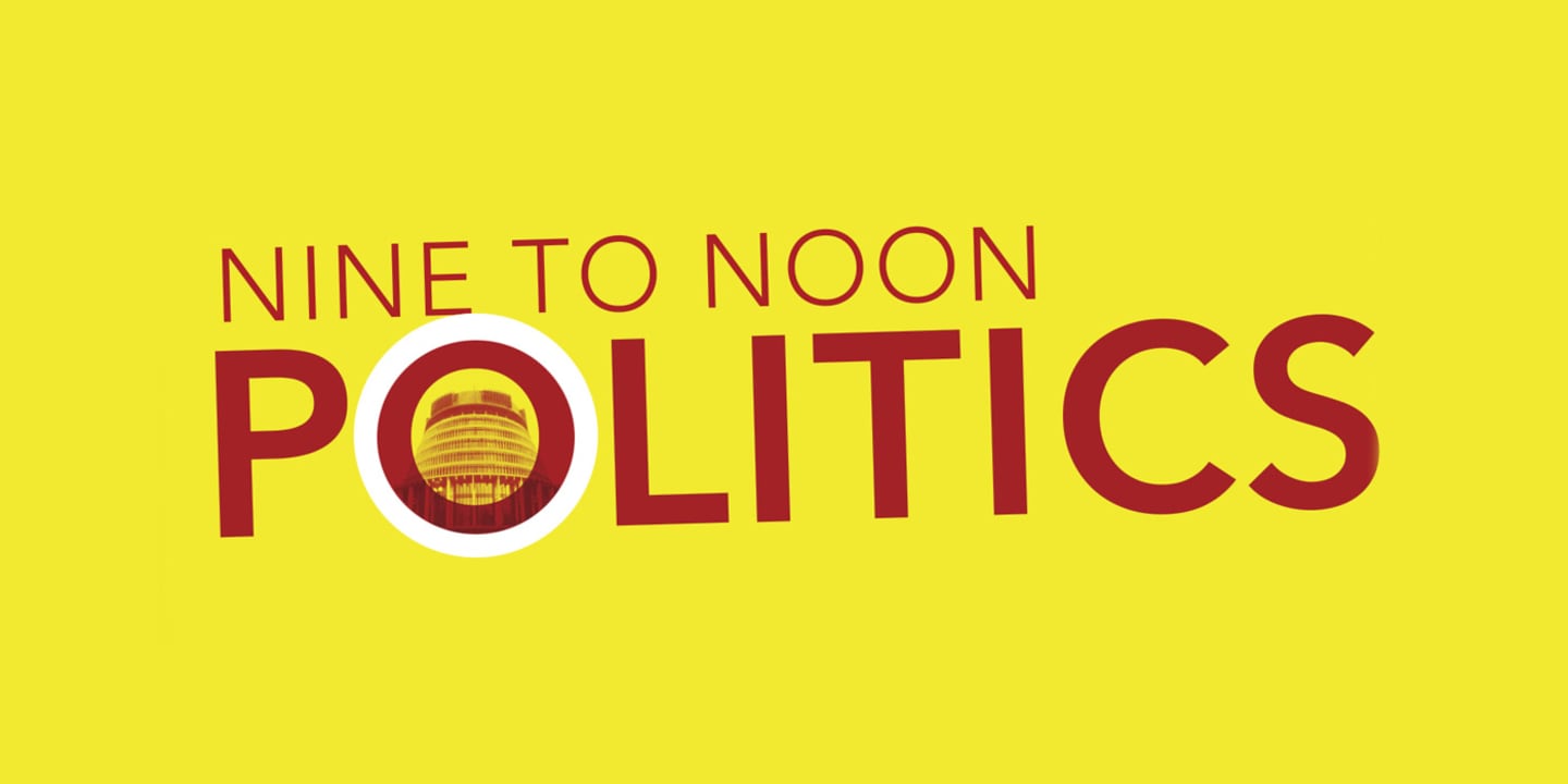 Graphic for Nine To Noon Politics