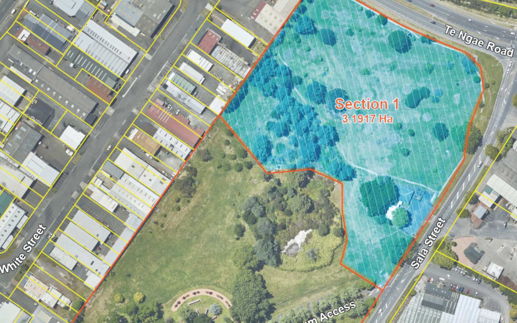 The section of Rotorua cemetery reserve planned for housing.