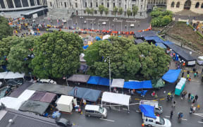 Protesters' vans and cars blocking Molesworth St outside Parliament grounds, and tarpaulin awnings set up on the road and footpath.