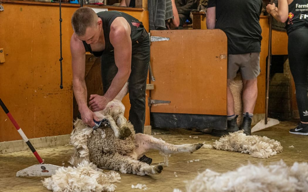 David Gower, supported by his great team, completed 24 hours of shearing with a tally of 1607 lambs.
