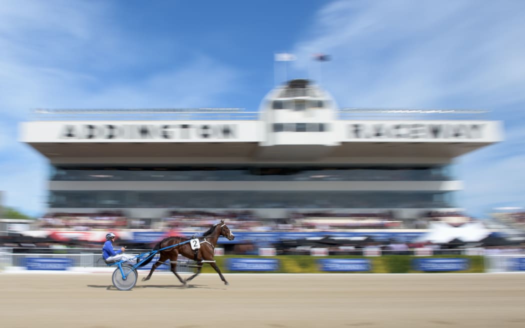 A jockey drives his horse during the New Zealand Trotting Cup Day in front of the Metropolitan Stand at Addington Raceway on November 10, 2015 in Christchurch.