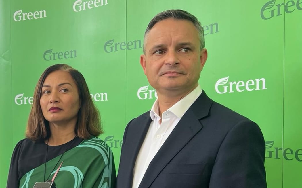 Frustrated Greens take aim at 'visionless government' and possible