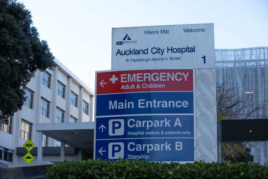 Covid-19 Omicron outbreak: A quarter of Auckland hospital staff away on  some days | RNZ News