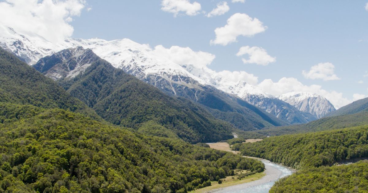 Photo of Votre emploi de rêve à Haast que presque personne ne veut est en demande en ce moment