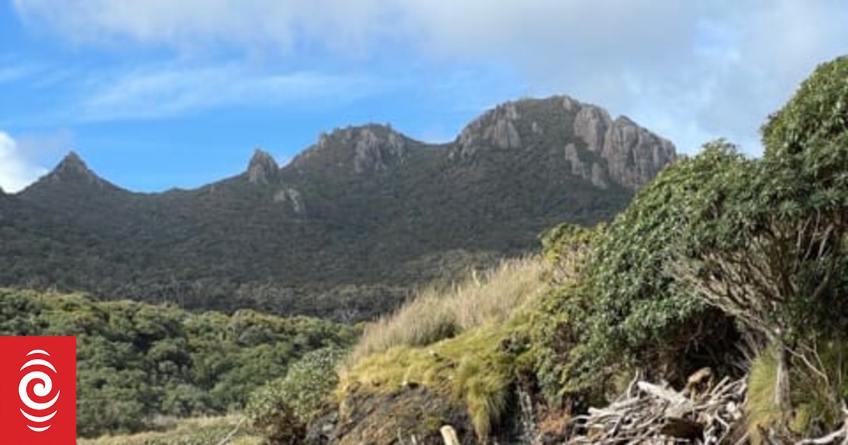 Rubbish work if you can get it on Rakiura / Stewart Island - Vimarsana News