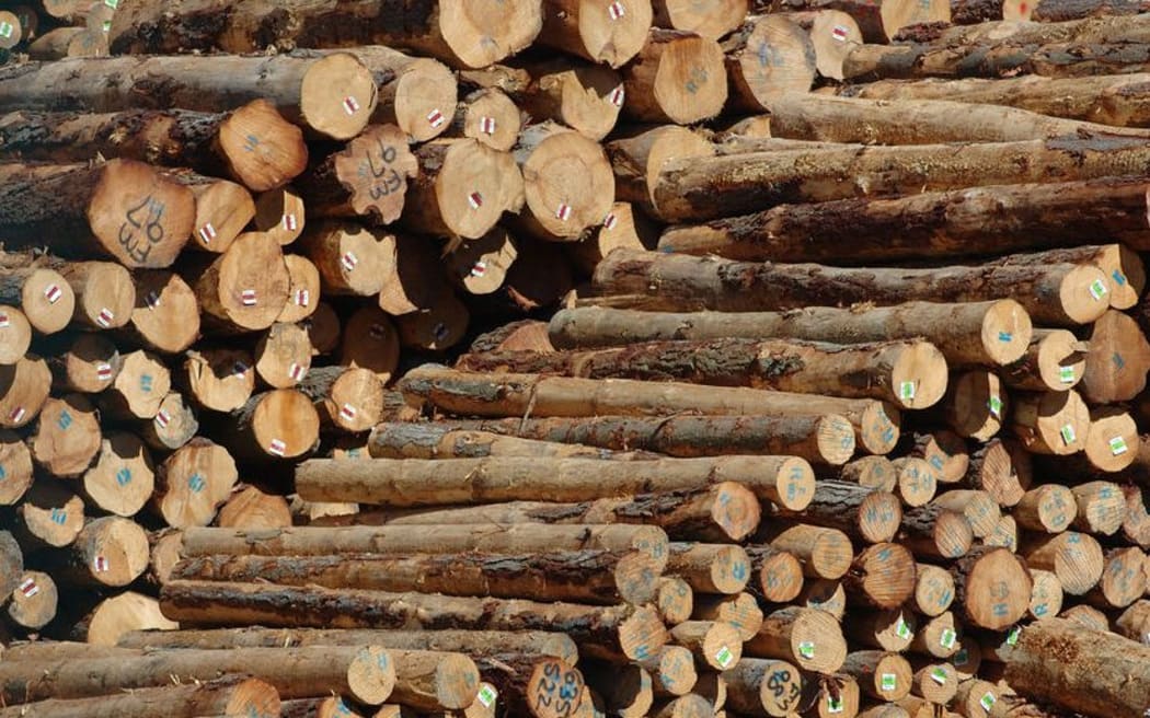 afotimber A pile of Pinus radiata logs waits for export at the port in Lyttelton.