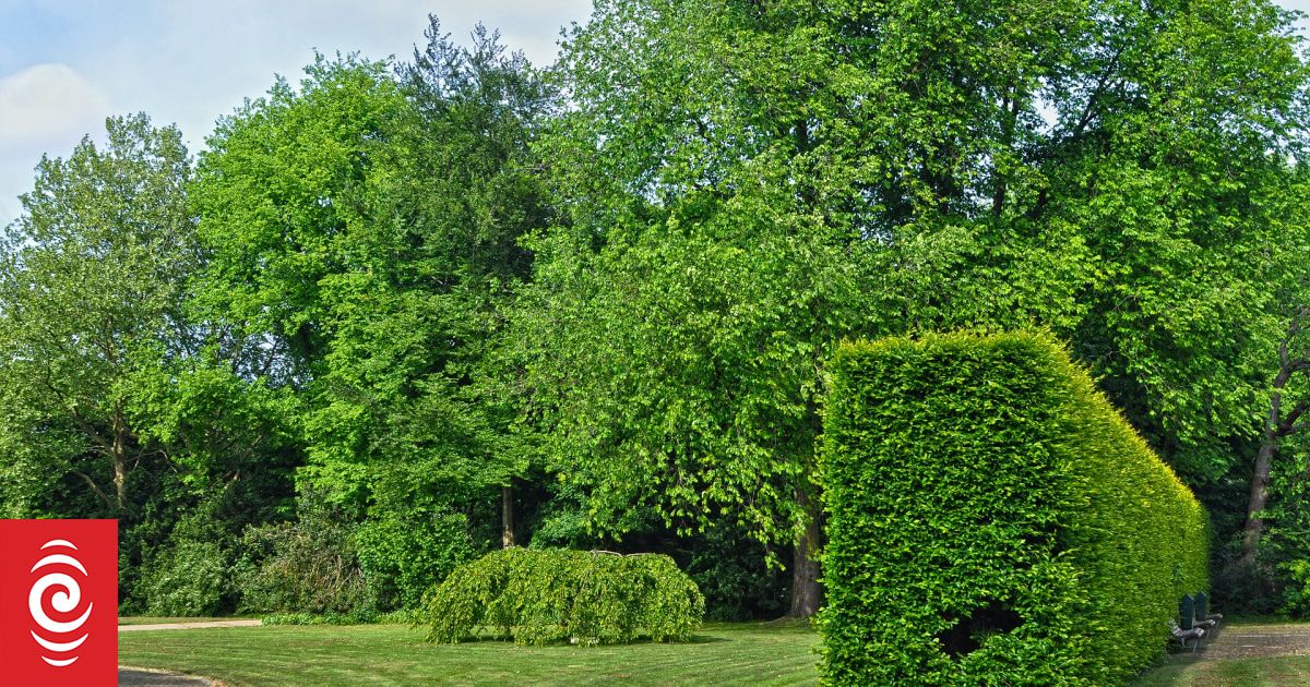 Green space getting the red light as demand for housing rises