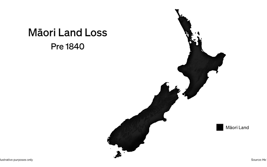 The Land Laid Bare Why Māori can’t build on their whenua RNZ News