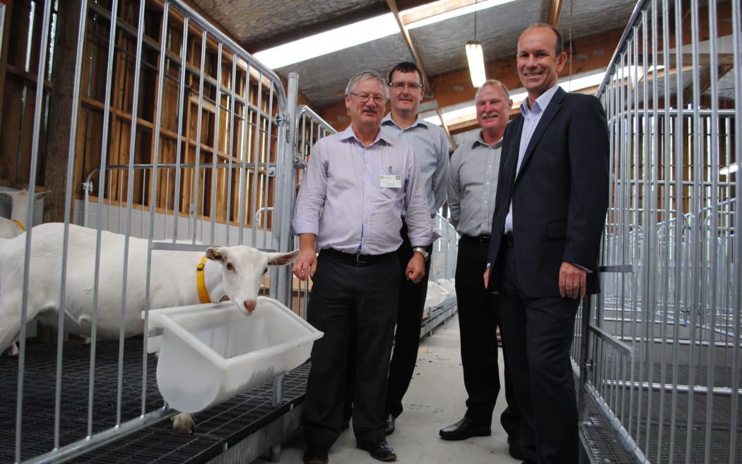 Dairy Goat Cooperative chief scientific officer Colin Prosser, chief executive Tony Giles and chair Campbell Storey with AgResearch partnership and programmes director Greg Murison at AgResearch's new dairy goat research facility at Ruakura.