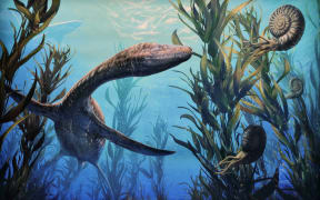 Artwork of a Plesiosaur