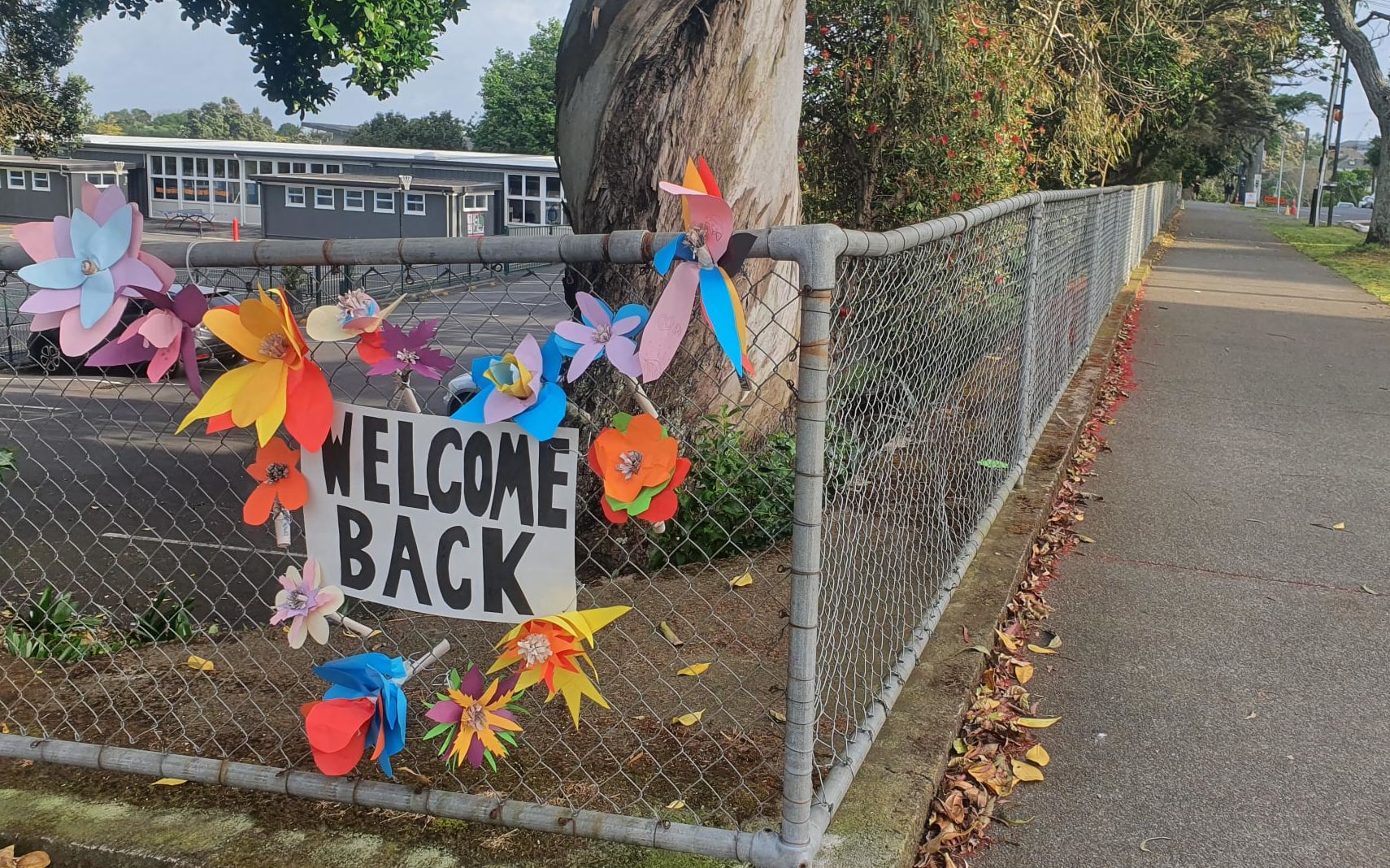 Mount Eden Normal School puts out the welcome sign for returning primary pupils.