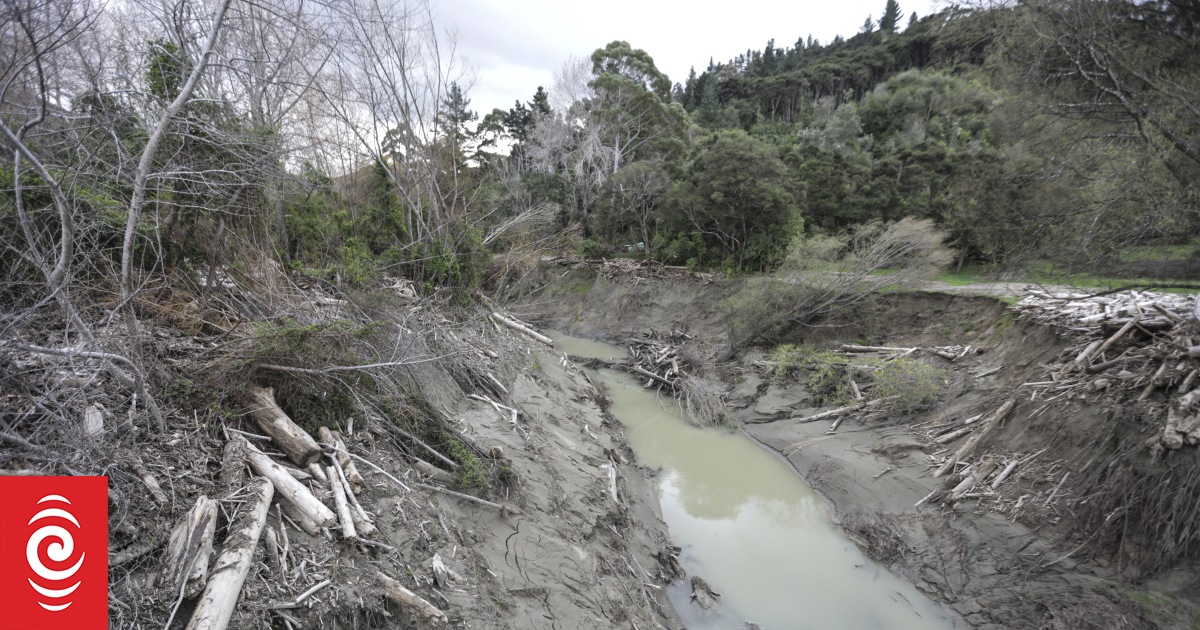 Tolaga Bay forestry company's illegal logging history revealed RNZ News