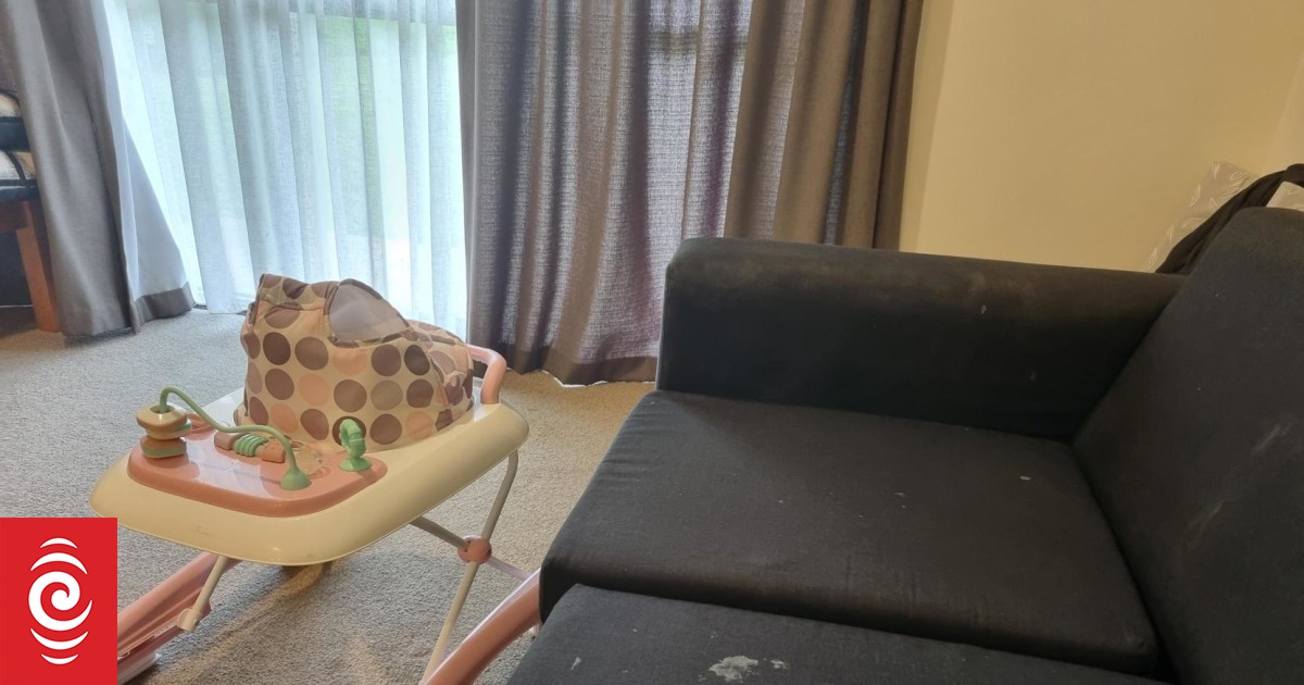 Young Auckland couple in transitional housing sleeping in car after 'mouldy' accommodation - Vimarsana News