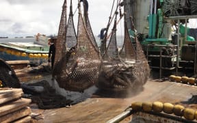 Tuna transshipment picked up in Majuro last month, but is still far off its average of the past five years