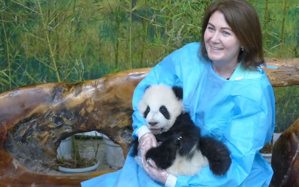Bronagh Key at the Giant Panda Breeding Research Centre in Chengdu, China.