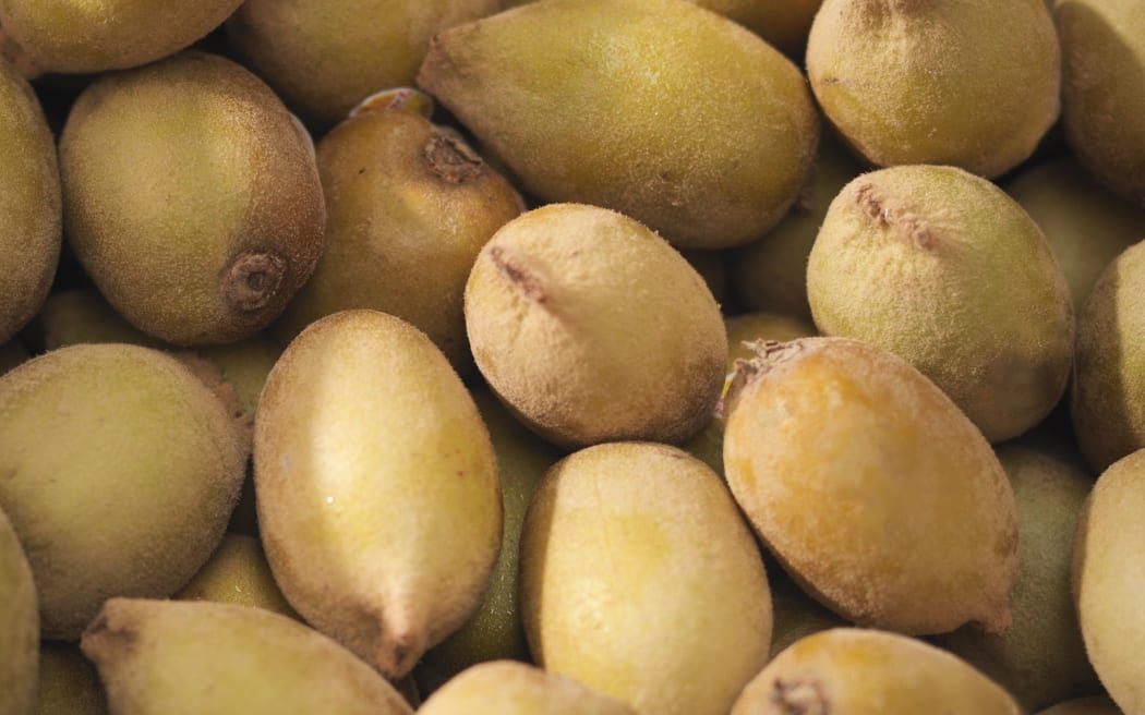 Close up of box of golden kiwifruit