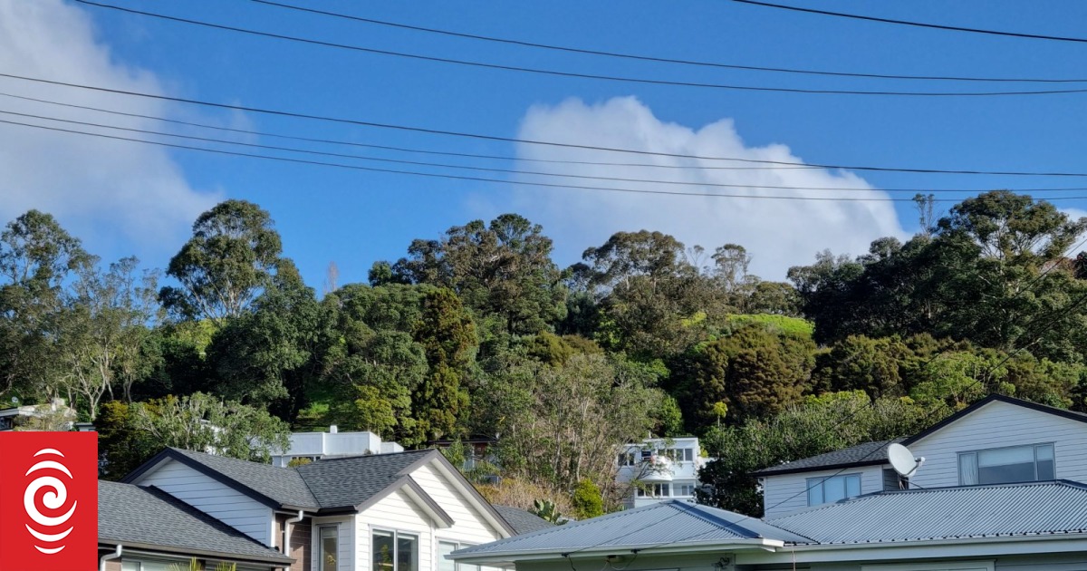 Residential housing market showing signs of improvement - Vimarsana News