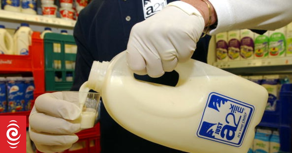 Synlait Milk Reports NZ$12m Loss but Maintains NZ$720.8m Net Assets and Stays on Track for Refinancing