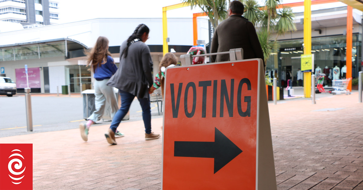Hamilton West by-election: Voters choose their next MP