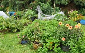 Chris Montgomery working in a vegetable bed at Innermost Gardens.