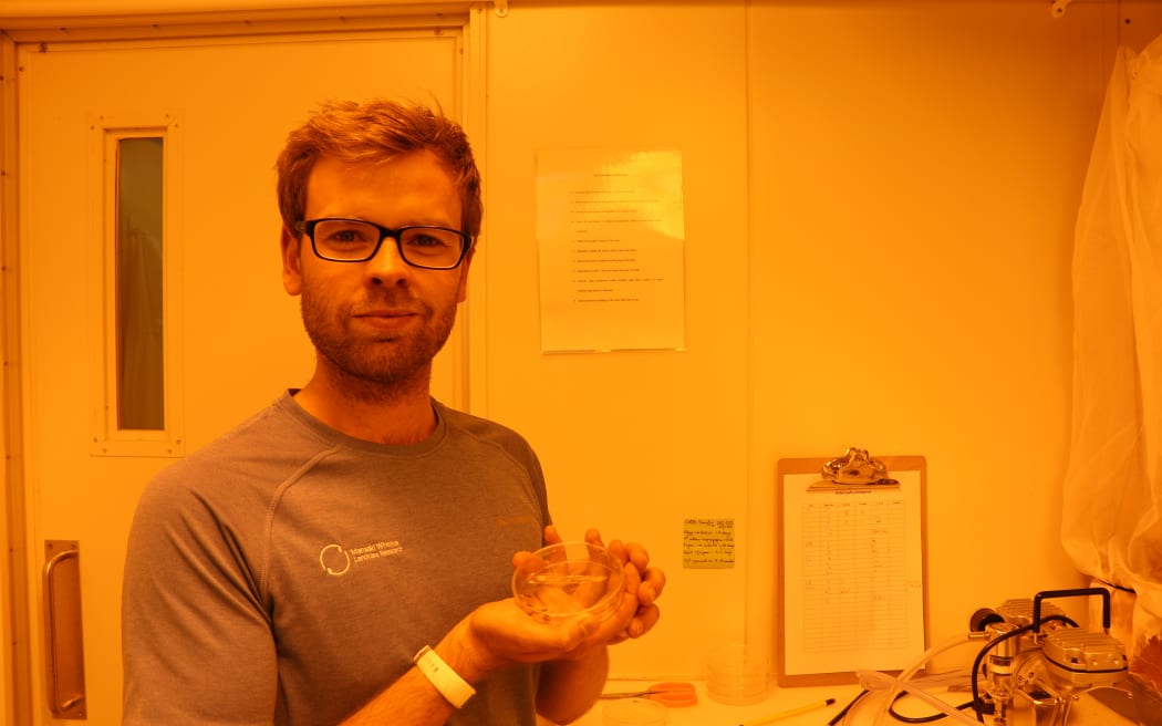 A man in a t-shirt wearing glasses stands in a yellow-lit lab holding a petri dish.