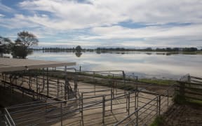 Farms around Edgecumbe face a big cleanup, even after the floodwater recedes.