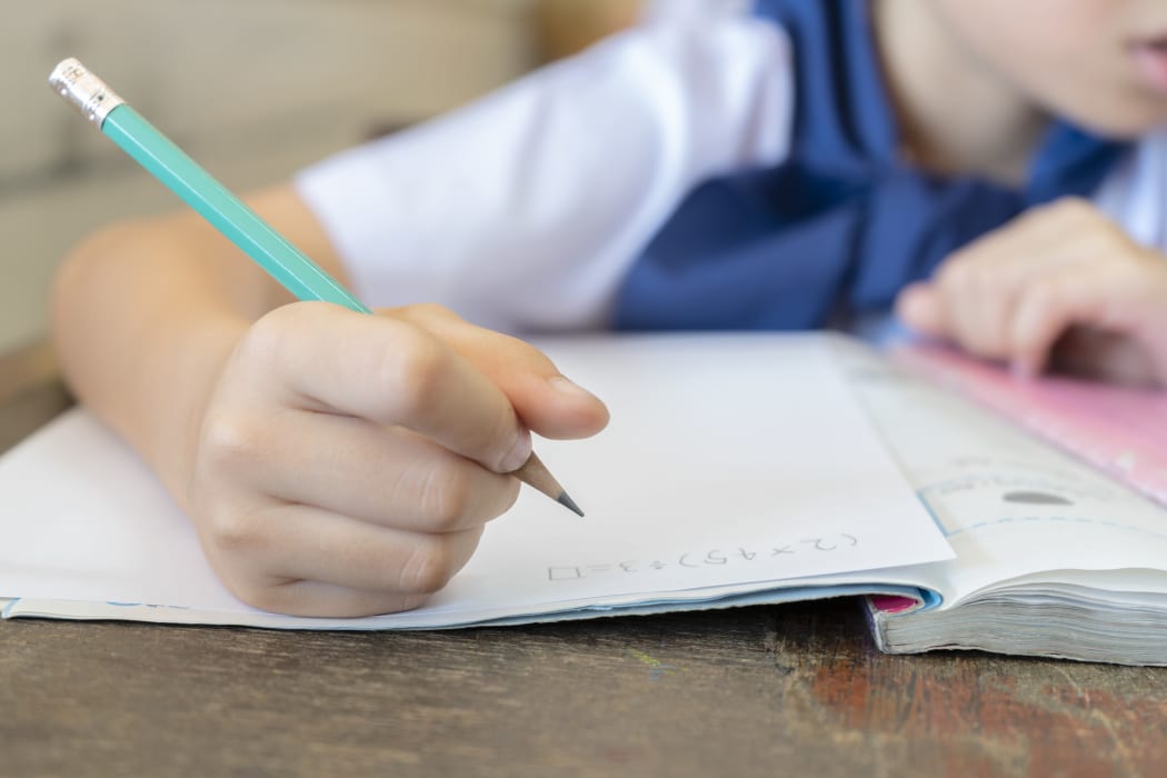 Government’s new literacy plan met with some skepticism