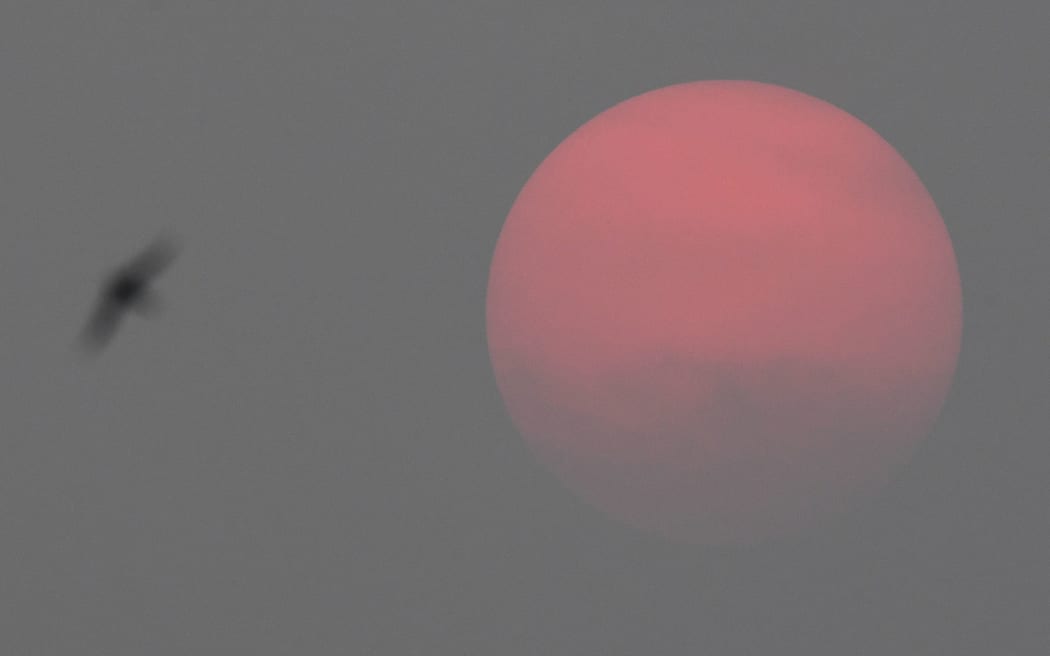 A bird flies as the sun sets through heavy smog caused by forest fires in neighboring Krasnoyarsk region, in Novosibirsk, Russia. Alexandr Kryazhev / Sputnik