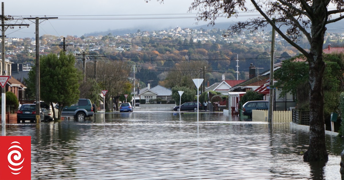 Flood-prone South Dunedin: Council says no options ruled out in dealing with complex challenges - Vimarsana News