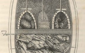 Sketch of bee storage chamber, c. 1840s (William Charles Cotton, My bee book, 1842)