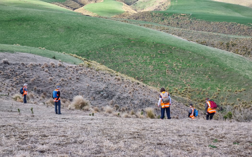 Over the weekend, a team of 50 researchers was searching farmland near Dunedin for the meteor that crashed to Earth about two weeks ago.