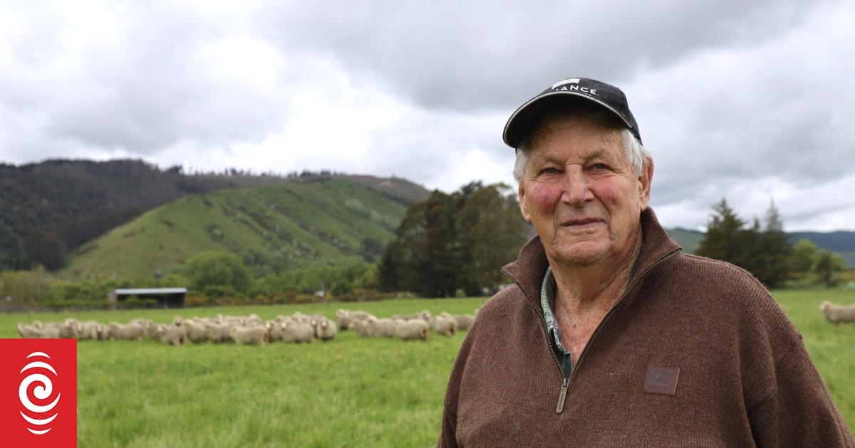 Farmer calls for tougher cat control after toxoplasmosis devastates sheep flock - Vimarsana News