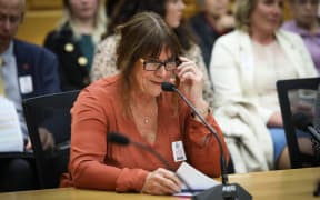 Chairperson of the New Zealand Medical Association Kate Baddock speaks to the Abortion Legislation Committee