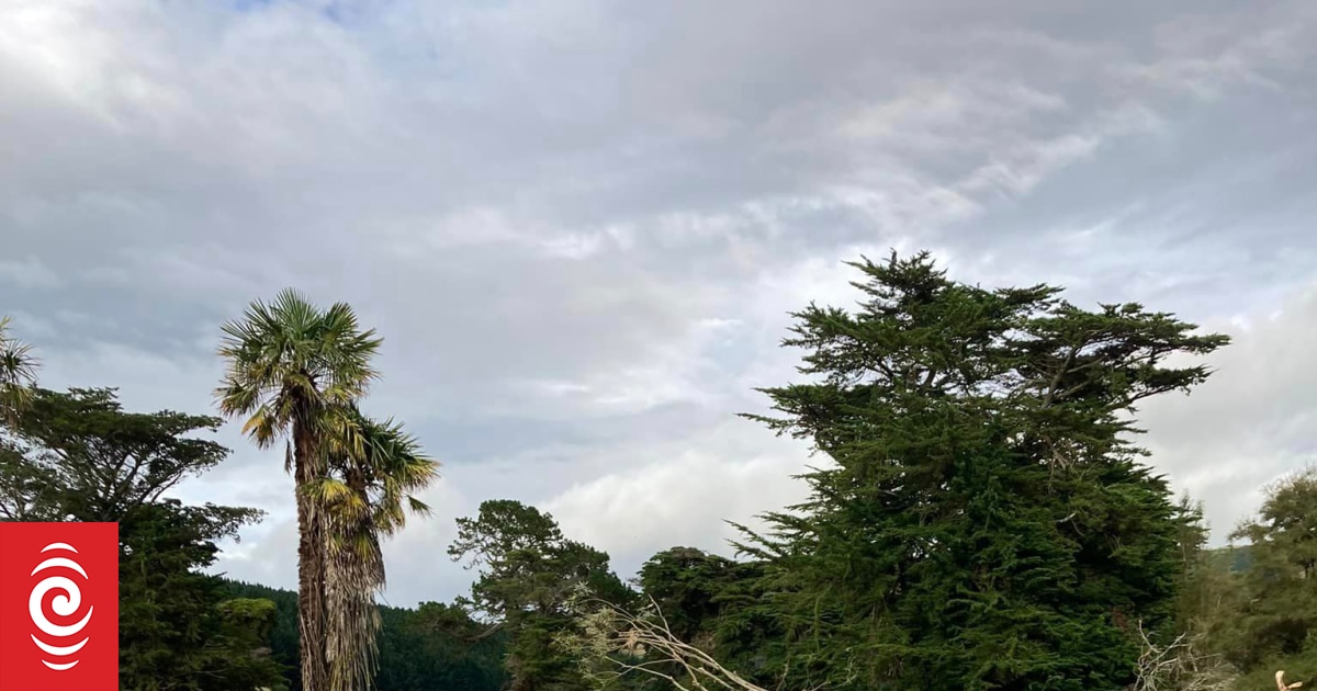 Cyclone-hit Hawke’s Bay town Pōrangahau wondering when aid is supposed to arrive