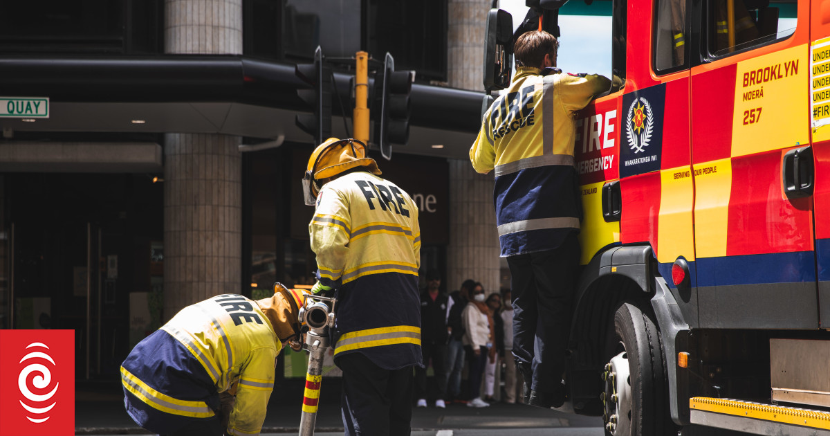W programie szkoleniowym FENZ brakuje „celu i zasobów” — przegląd
