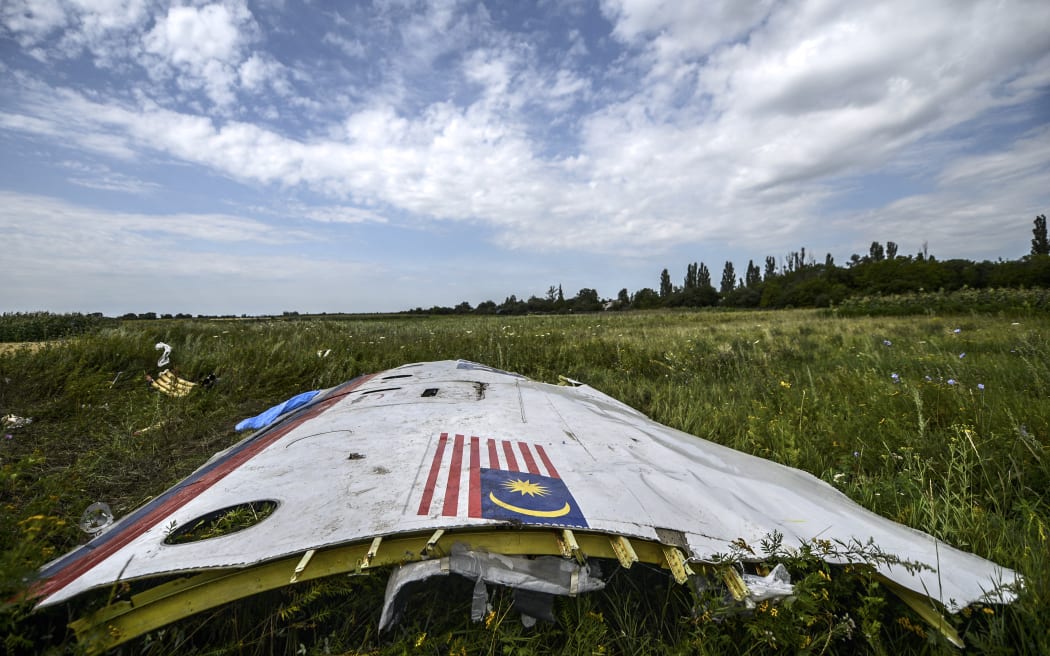 Wreckage of Malaysia Airlines flight MH17 in a field near the village of Grabove, in the region of Donetsk on 20 July 2014.