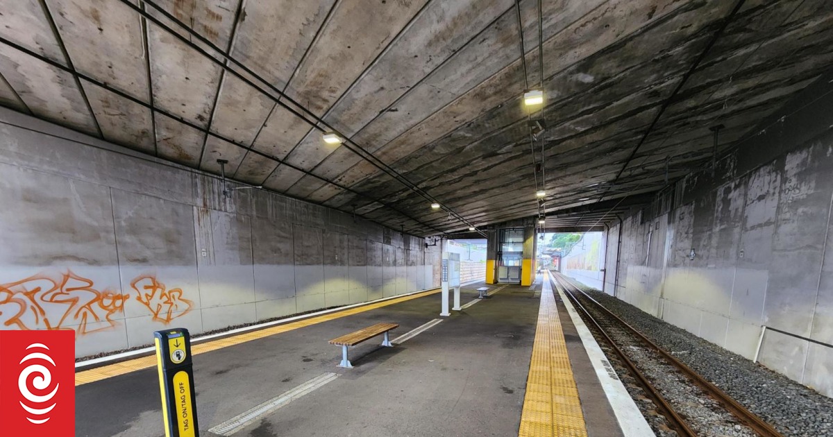 Trains cancelled across Auckland due to 'track infrastructure' problem - Vimarsana News