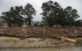 Tolaga Bay, heavy rain forced piles of wood onto farmland.