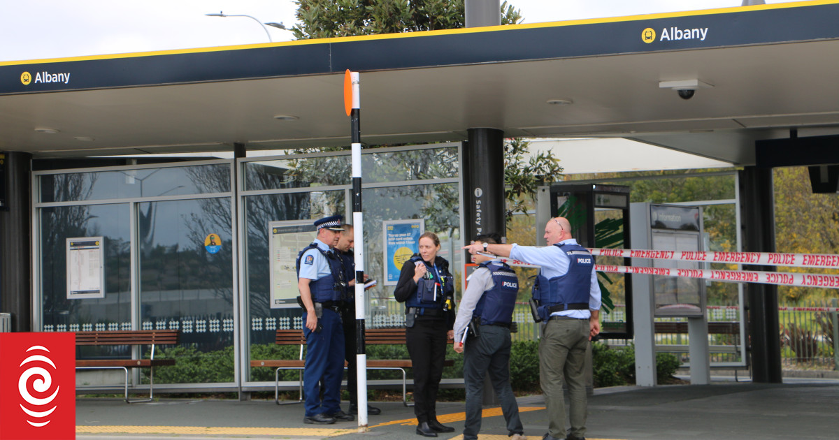 Albany Bus Station incident: Two injured, search underway for person - Vimarsana News