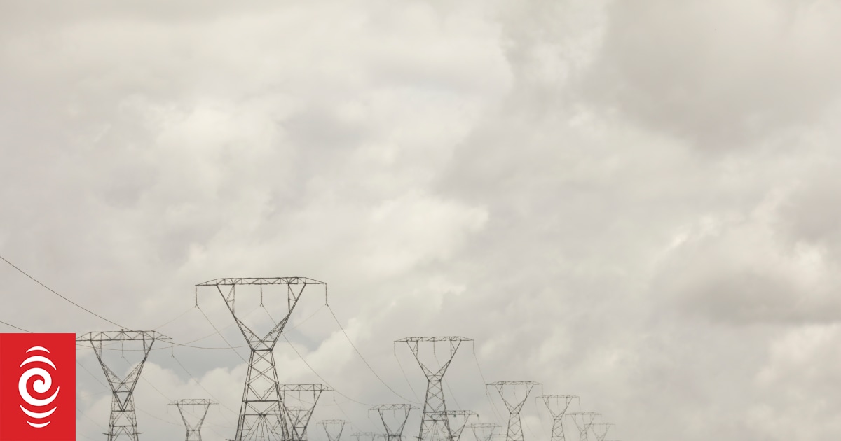 Big power companies paying large dividends at consumers' expense - unions - Vimarsana News