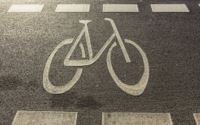 Cycle lanes were among recommendations to boost cycling and the safety of cyclists.