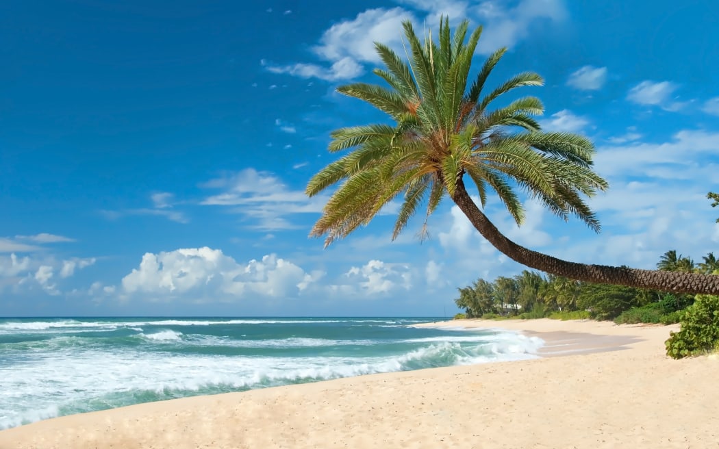 Pacific islands, palm tree, beach