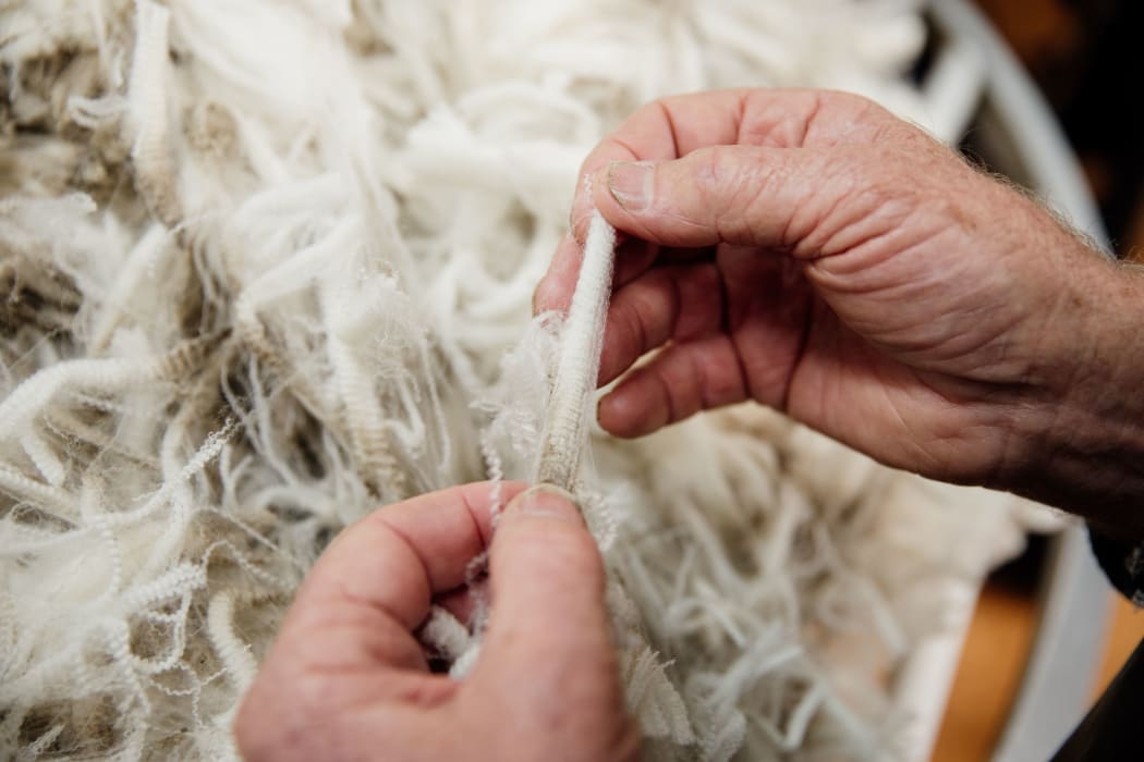 Wool brands push for regenerative farming RNZ