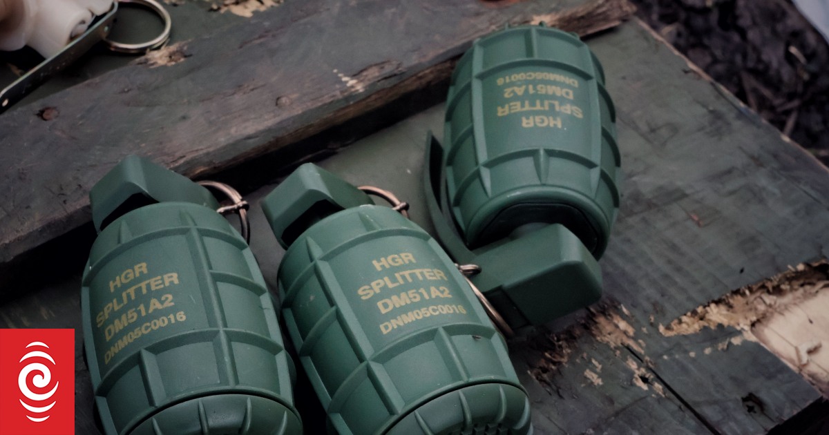 Grenade birthday gift kills Ukraine army chief's aide RNZ News