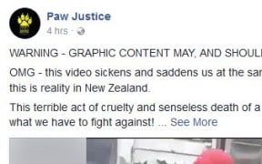 Paw justice