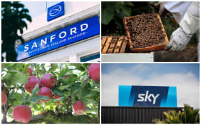 Sanford, honey producer and exporter Comvita, Scales apple exporter and Sky Television have confirmed their status as 'essential services'.
