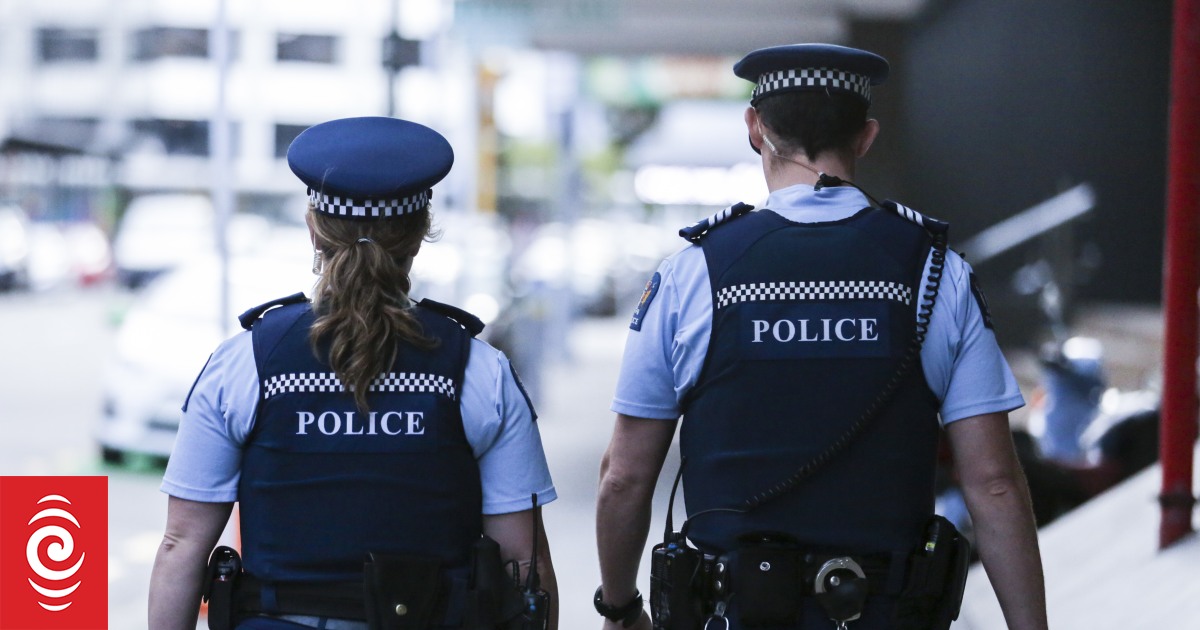 Three separate arrests in Hawke's Bay in relation to firearm possessions and alleged illegal hunting - Vimarsana News
