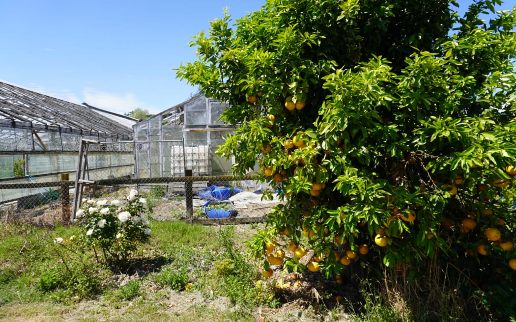 Springfield fruit and vege business  - hit by cyclone Gabrielle in Hawkes Bay