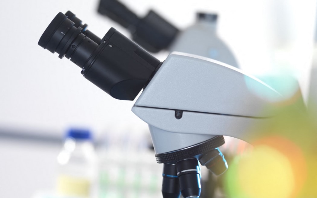 Collagen testing volunteers being sought in Palmerston North RNZ